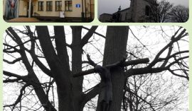 Warsztaty z antropologii mediów