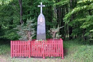 „Byłaś jak światło w mroku”